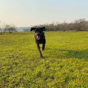 Meet your Posher, Breanna